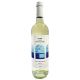 VINO FALANGHINA PUGLIA SETTEARCHI CL.75